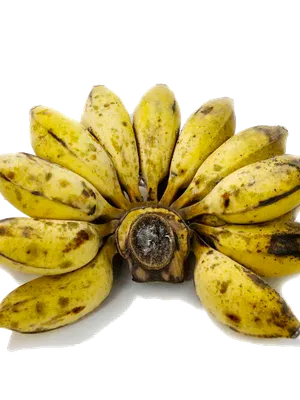 Plantain